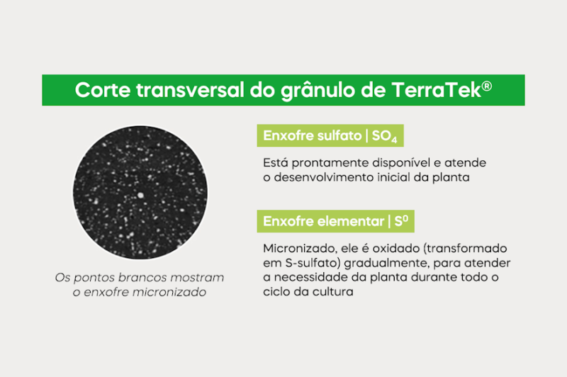 Fornecimento contínuo de enxofre