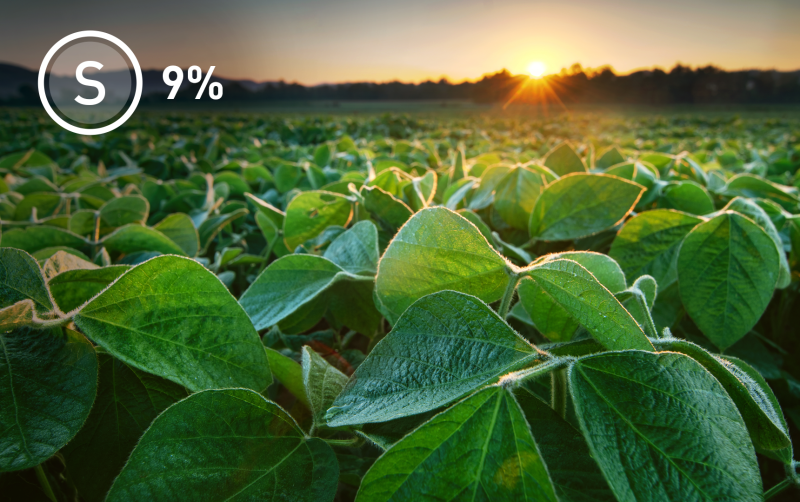 Enxofre disponível imediatamente (SO₄)