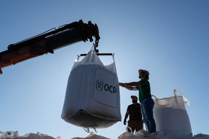 Conheça o Phosgold® 03-30-00+9S