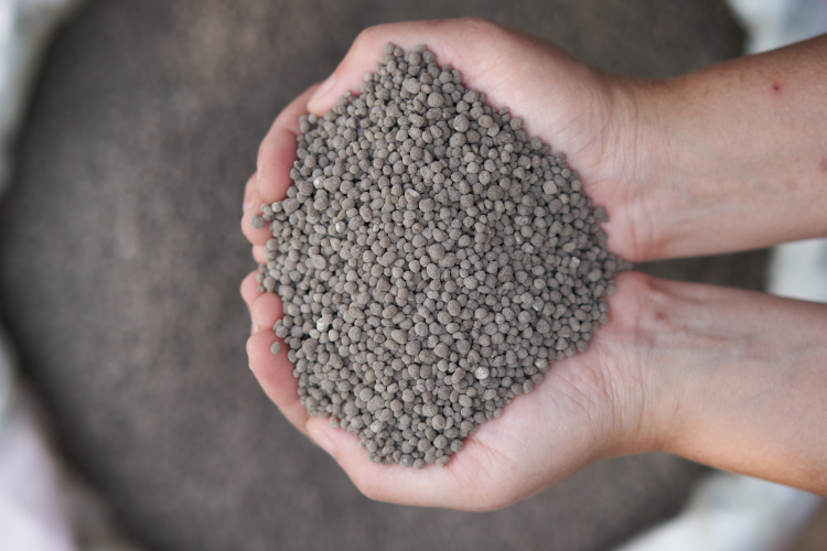 Conheça a linha Phosgold®