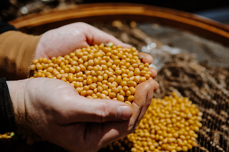 Equilíbrio nutricional que gera mais resultados